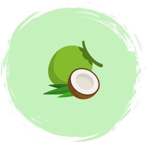 Coconut