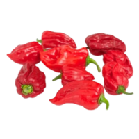 fresh-hot-pepper
