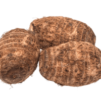 Coco Yam