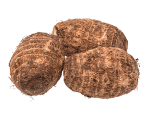 Coco Yam