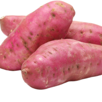 Sweet Potato