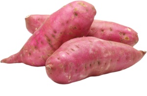 Sweet Potato