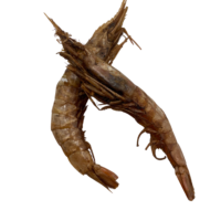 A package of Ojukwu Crayfish (100g), showcasing its vibrant packaging and product information.